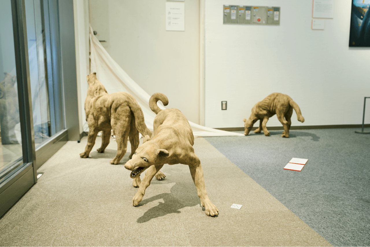 根本裕子《野良犬》