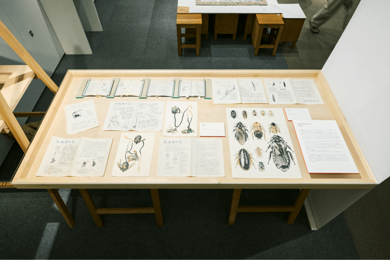 盛口満 《ゴキブリいろいろ》、《冬虫夏草》